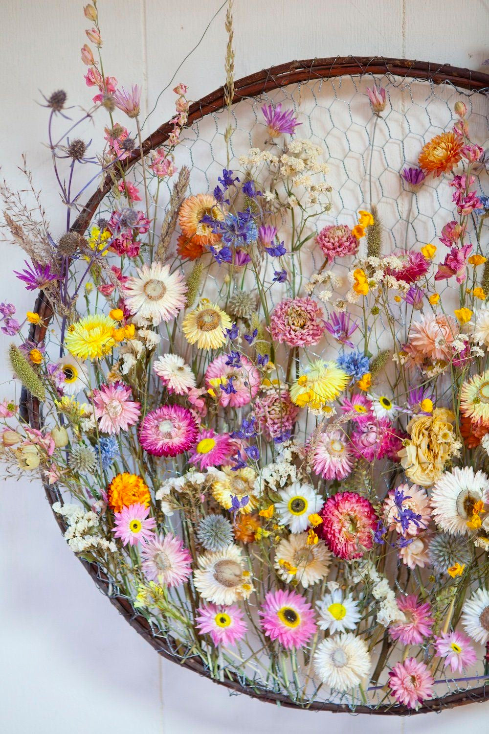 Workshop di Primavera