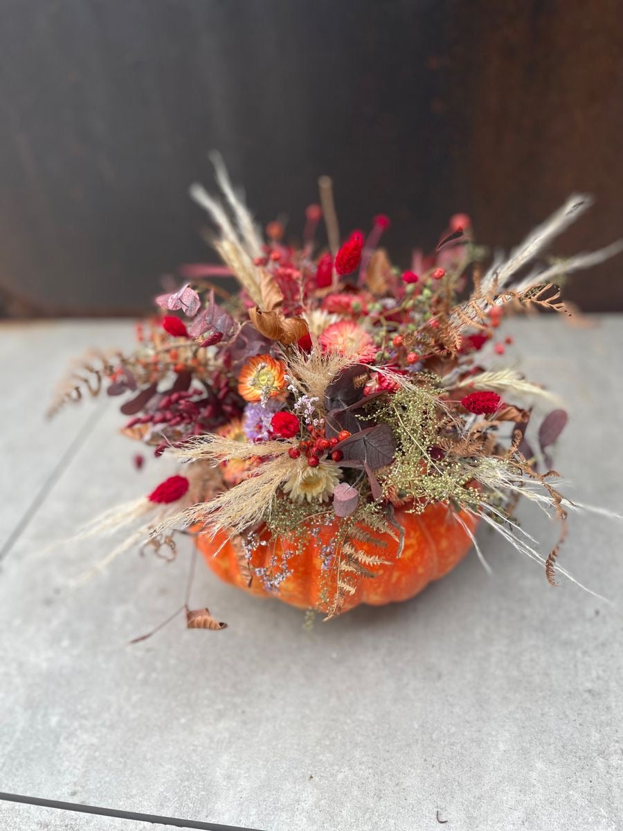 Workshop d’autunno