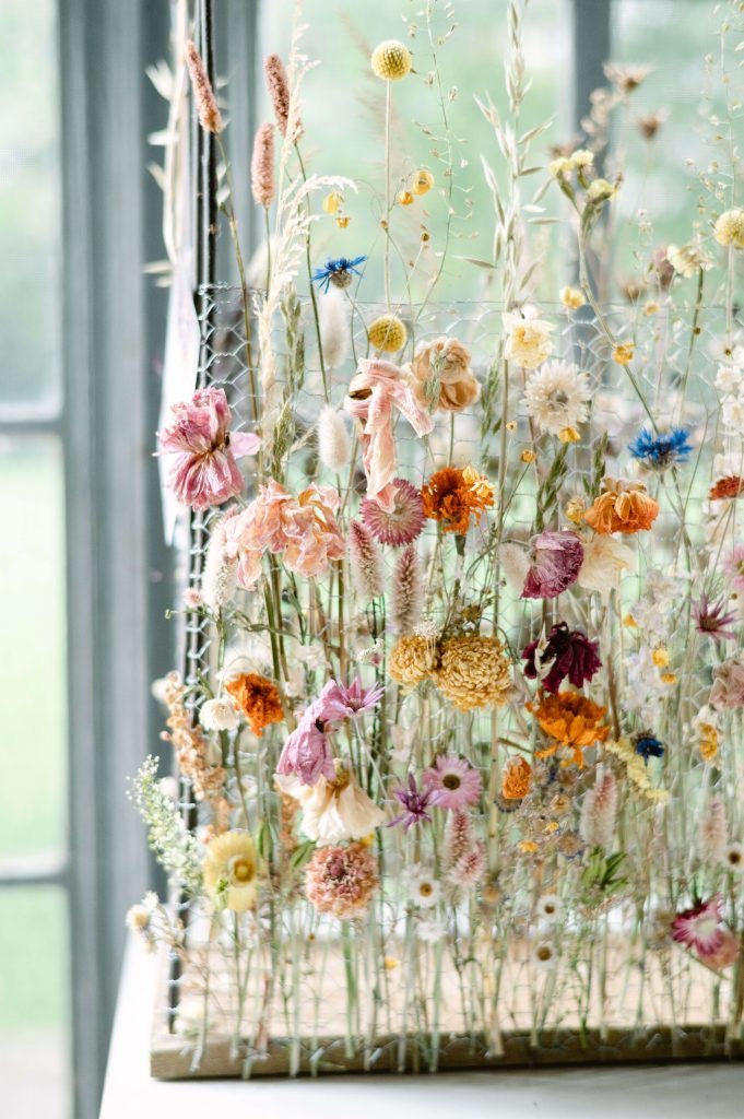 Workshop di Primavera