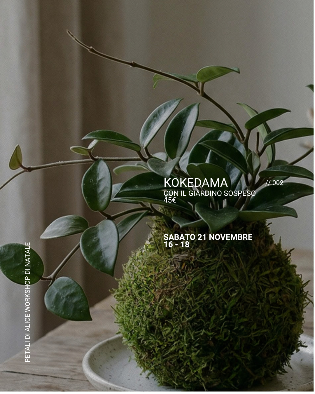 Workshop Kokedama