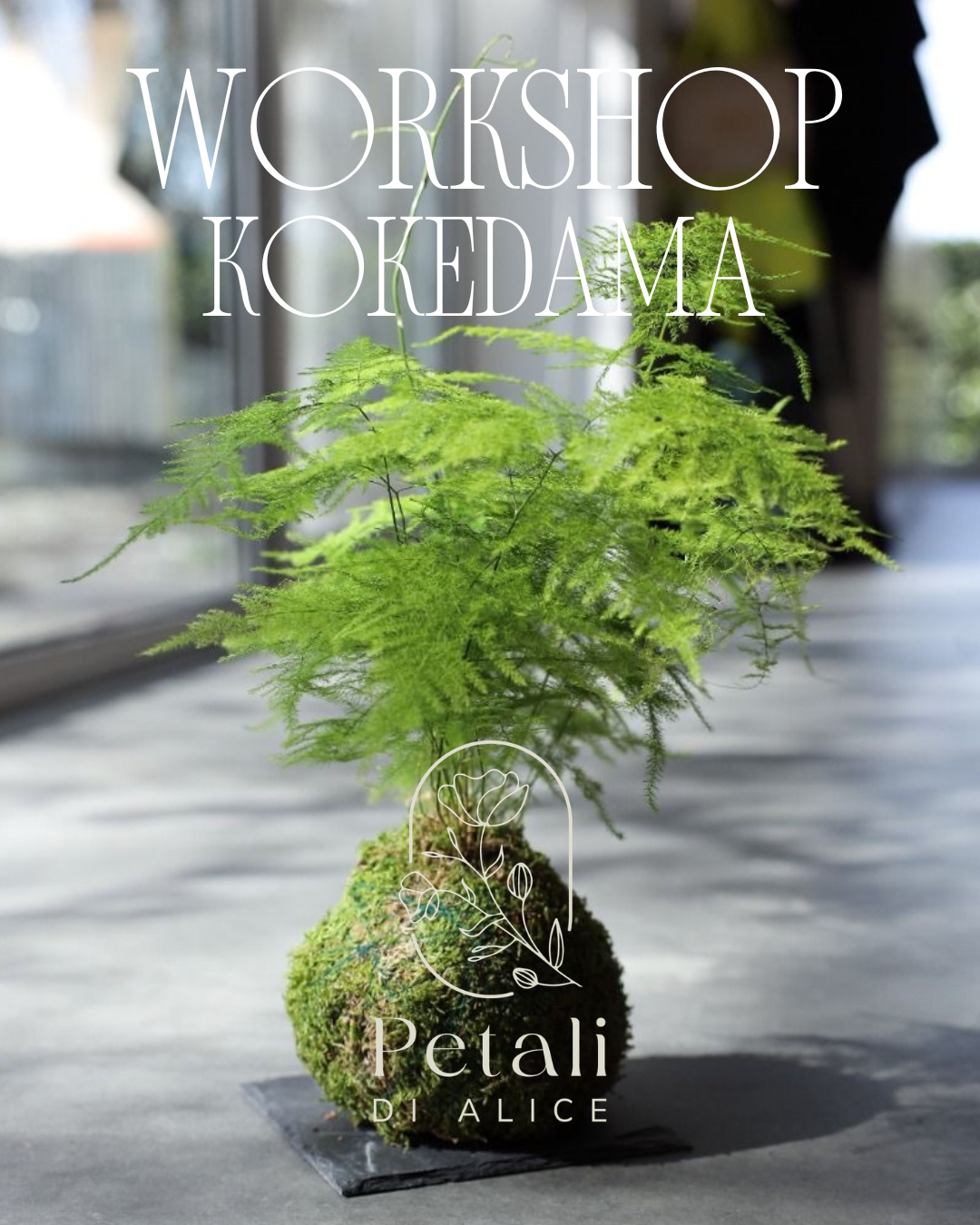 Workshop Kokedama