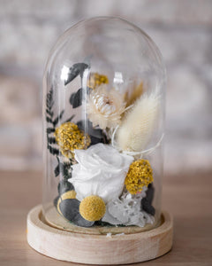Cloche Londra