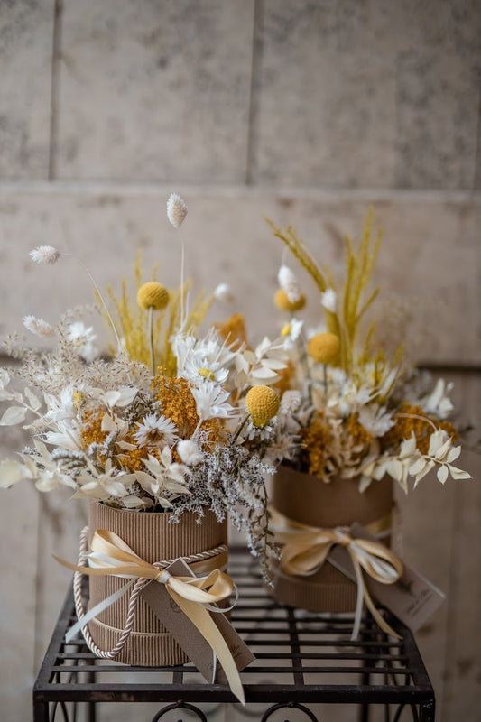 Scatola stabilizzata